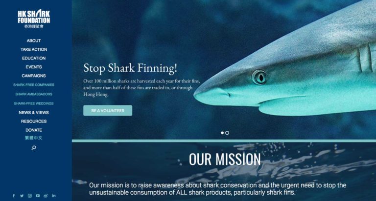 HK Shark Foundation